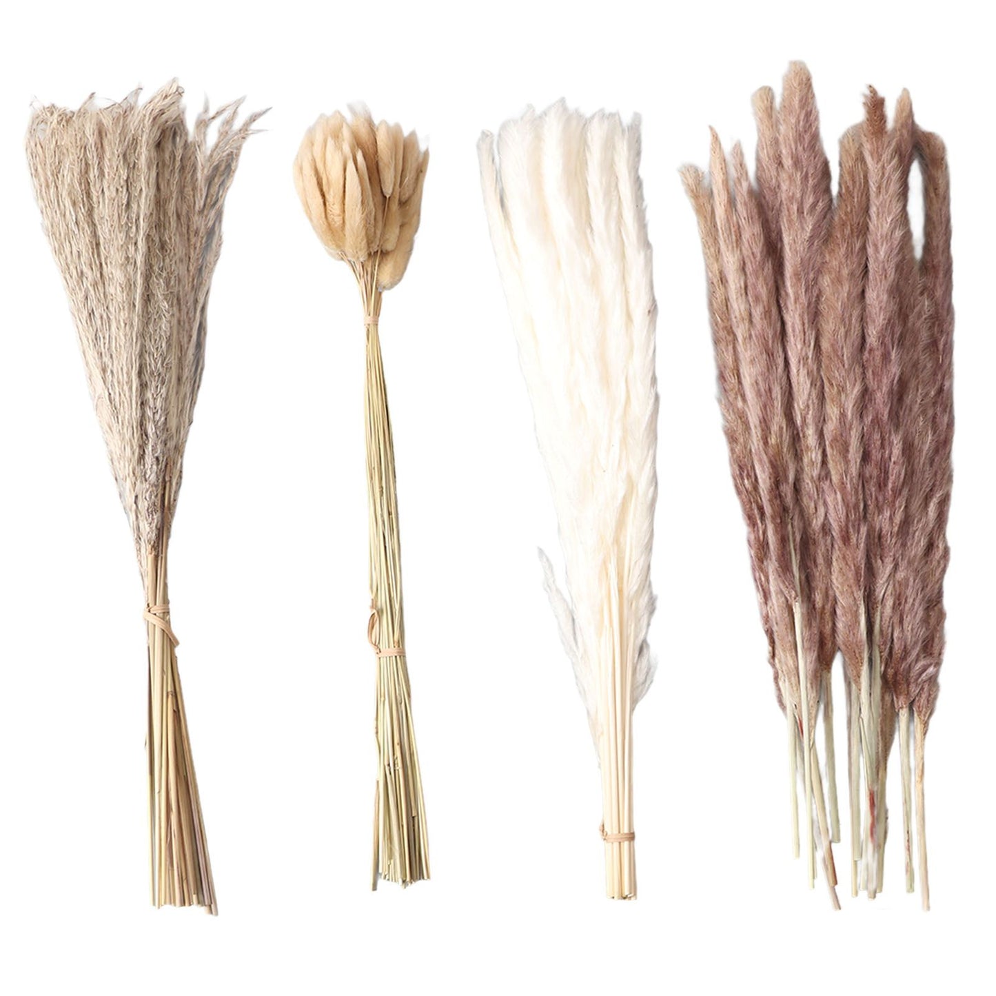 Natural Dried Pampas Grass Fluffy 15PCS White Pampas 15PCS Brown Pampas 50PCS Bunny Tail Grass 20PCS Reed Grass for Home Wedding Decor