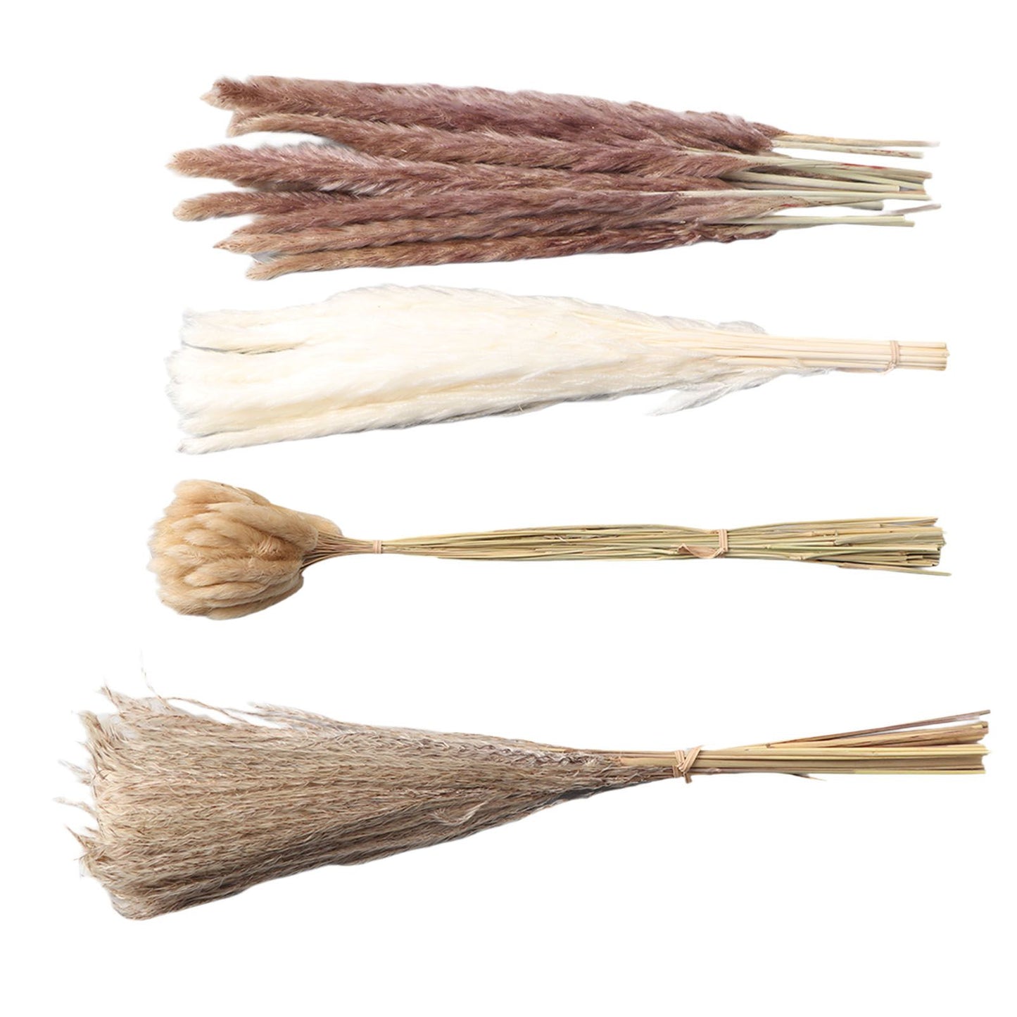 Natural Dried Pampas Grass Fluffy 15PCS White Pampas 15PCS Brown Pampas 50PCS Bunny Tail Grass 20PCS Reed Grass for Home Wedding Decor