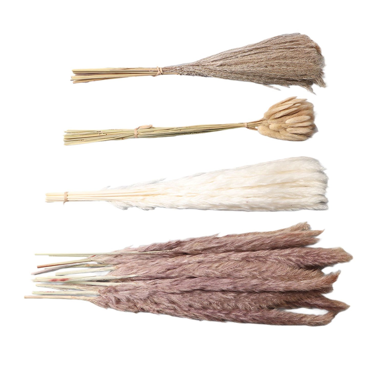 Natural Dried Pampas Grass Fluffy 15PCS White Pampas 15PCS Brown Pampas 50PCS Bunny Tail Grass 20PCS Reed Grass for Home Wedding Decor